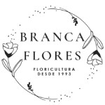 Branca Flores